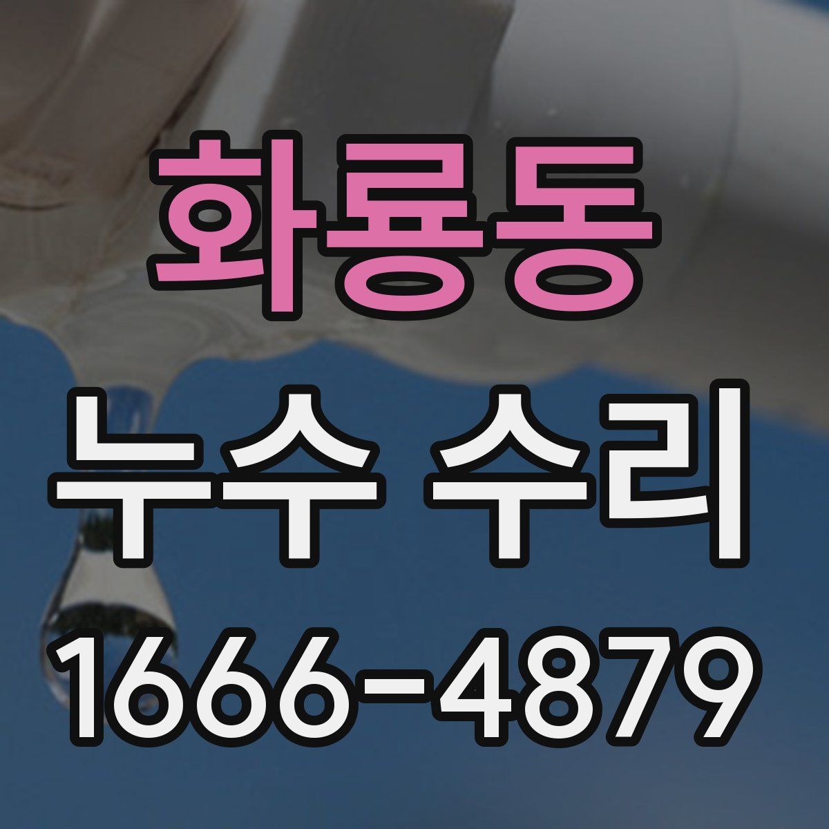 화룡동 누수 수리