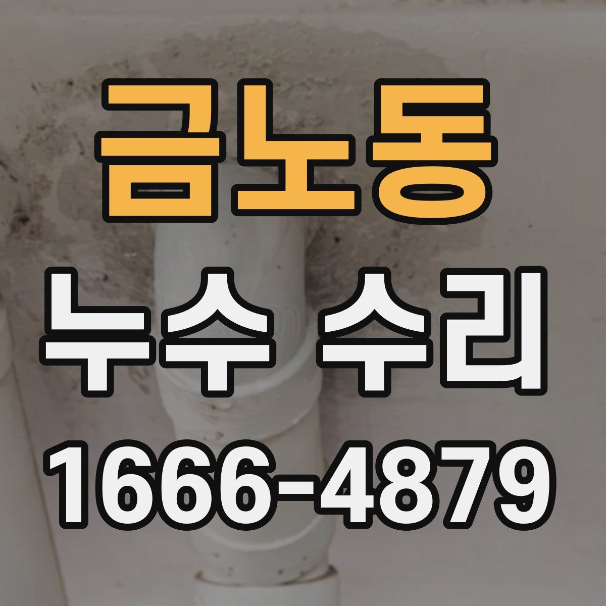 금노동 누수 수리