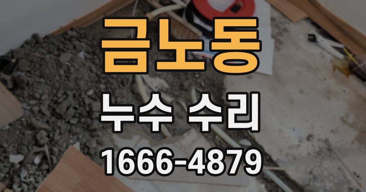 금노동 누수 수리
