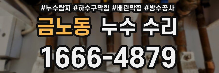 금노동 누수 수리