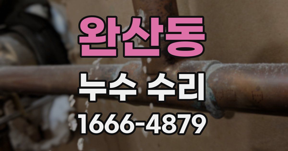 완산동 누수 수리