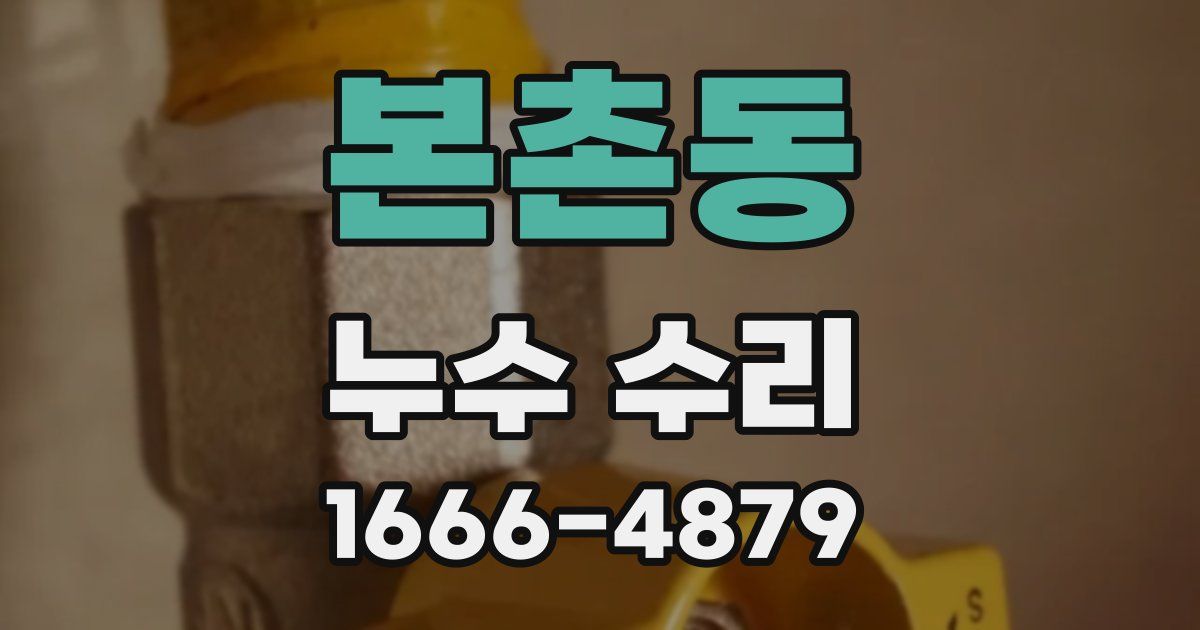 본촌동 누수 수리