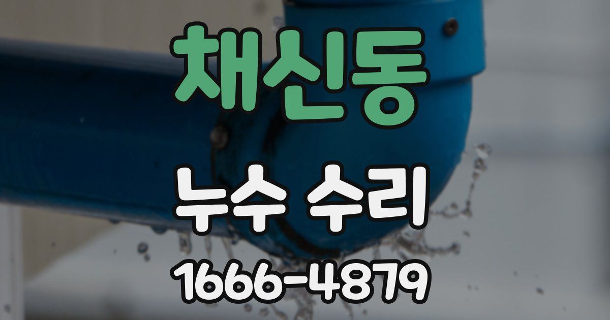채신동 누수 수리