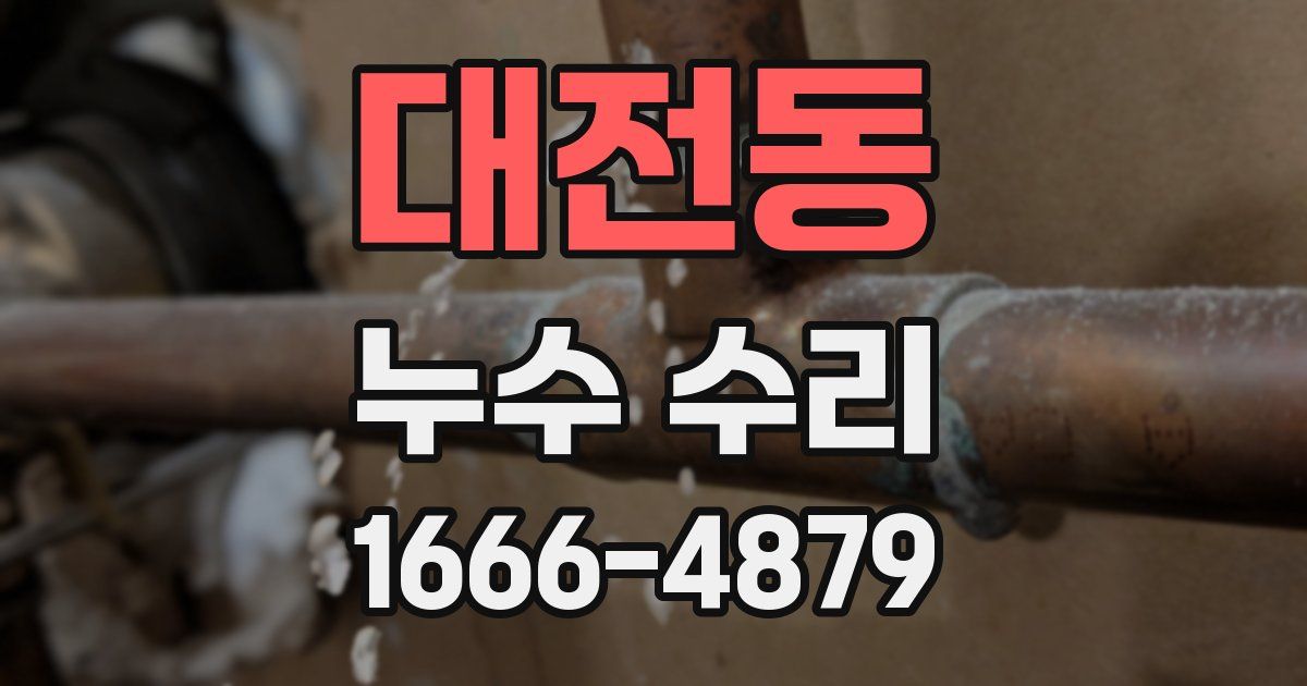 대전동 누수 수리