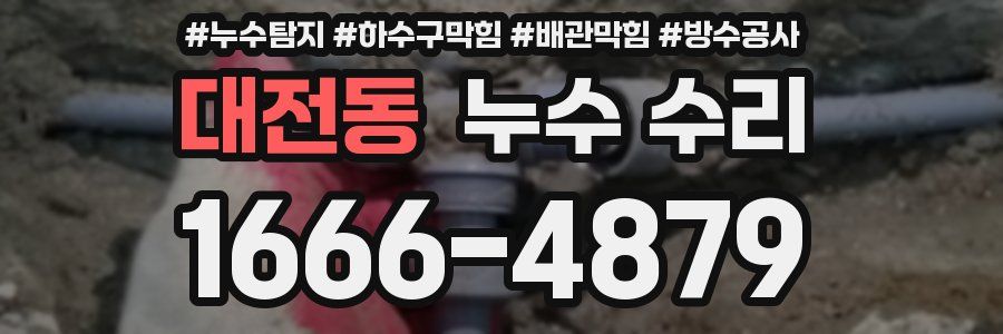 대전동 누수 수리