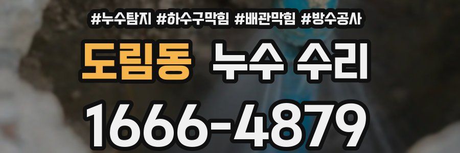 도림동 누수 수리