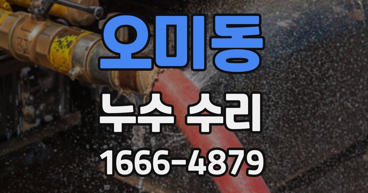 오미동 누수 수리