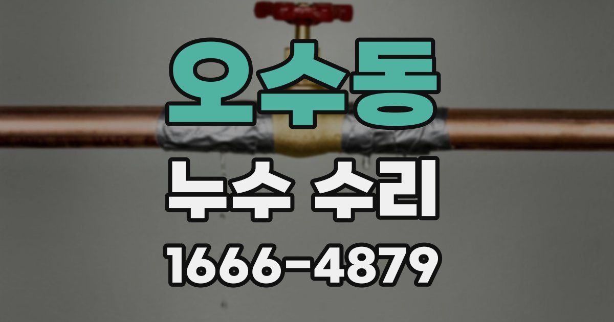 오수동 누수 수리