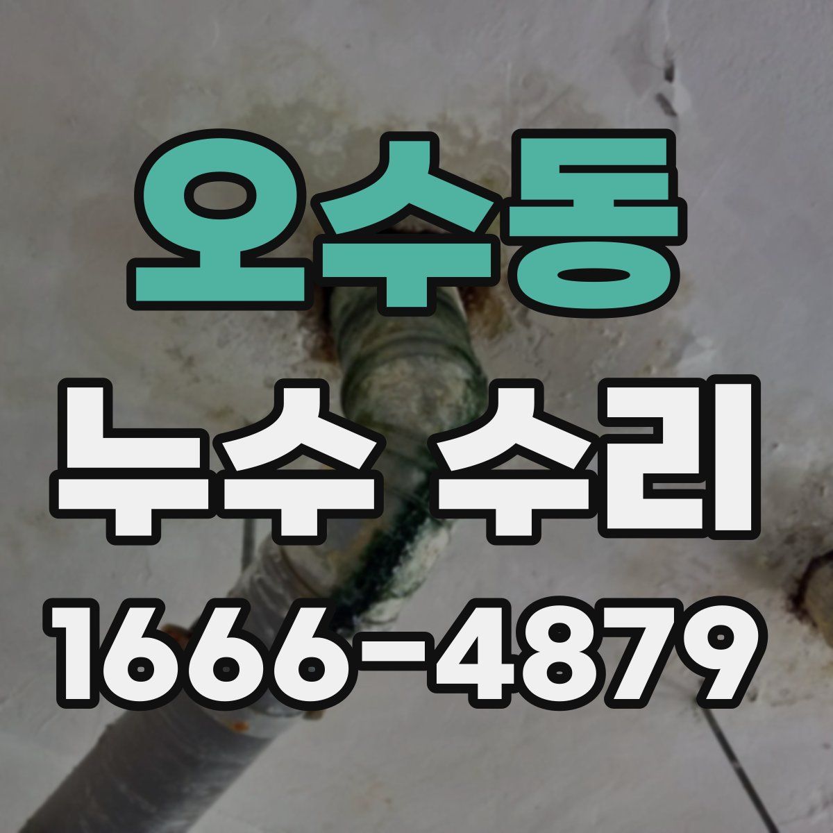 오수동 누수 수리
