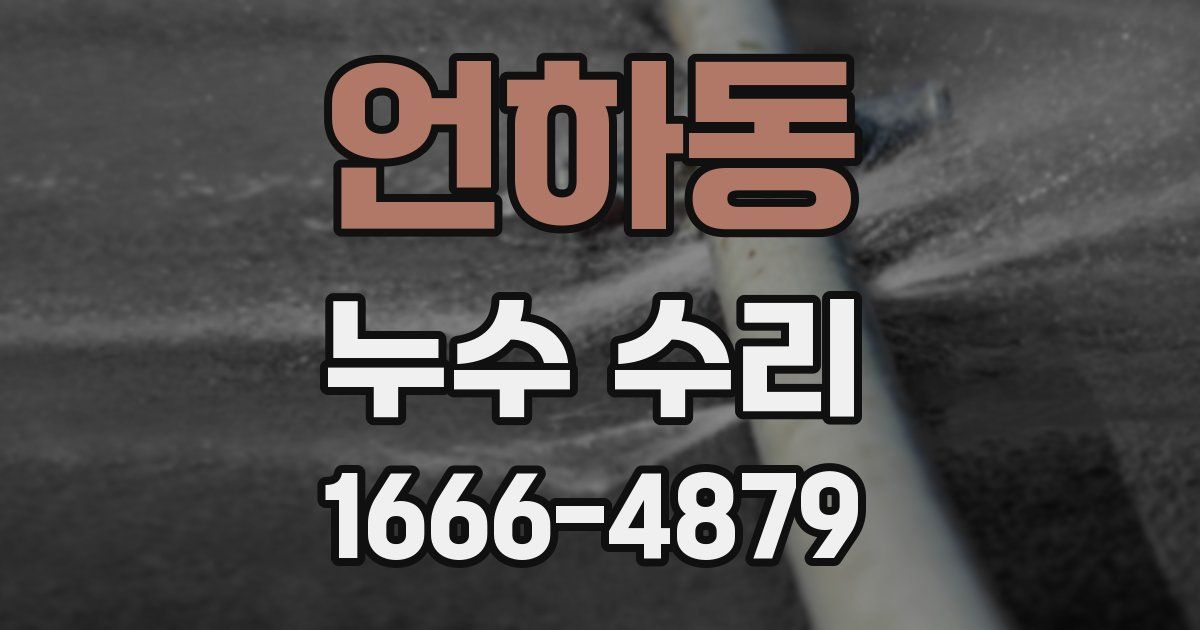 언하동 누수 수리