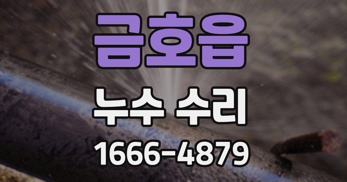 금호읍 누수 수리