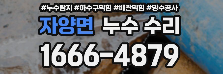 자양면 누수 수리