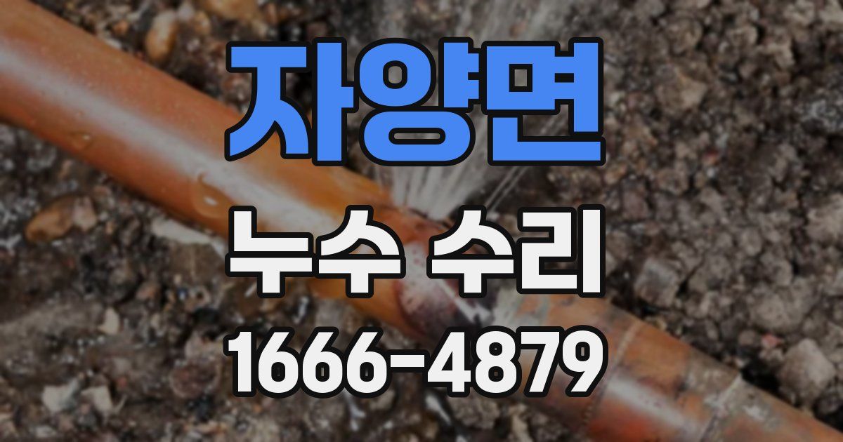 자양면 누수 수리