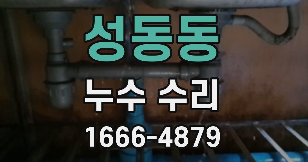 성동동 누수 수리