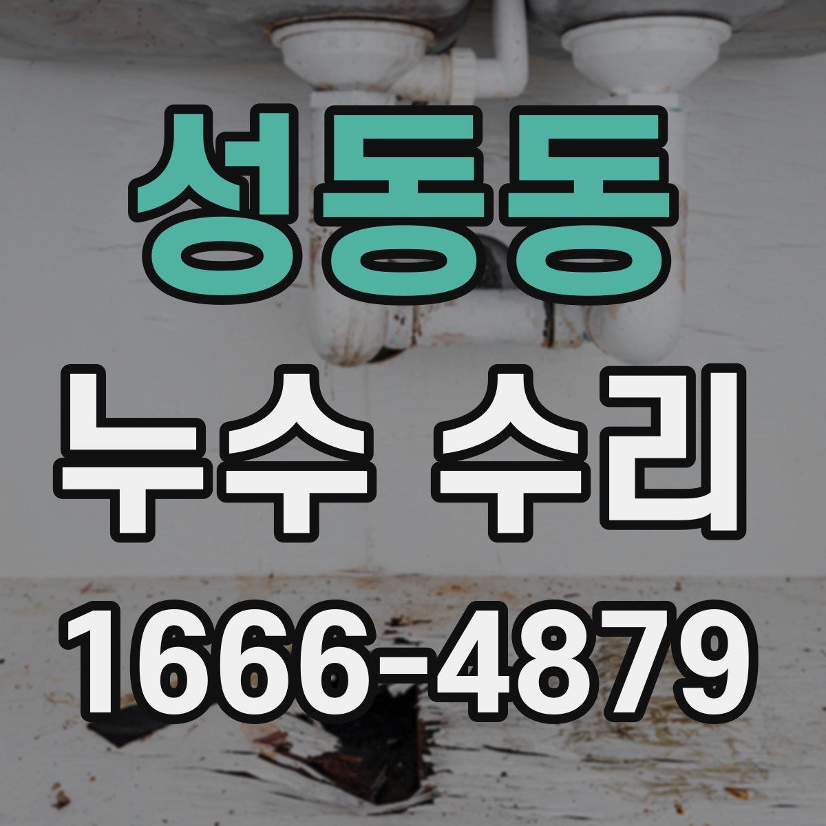 성동동 누수 수리