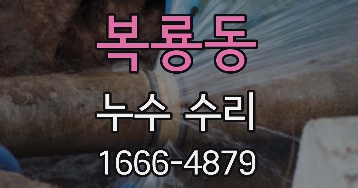 복룡동 누수 수리
