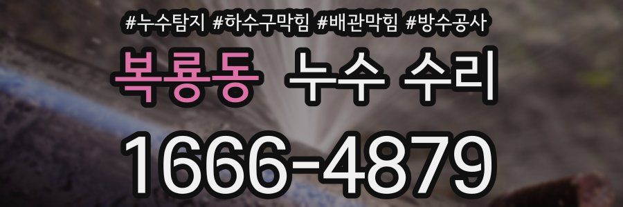 복룡동 누수 수리