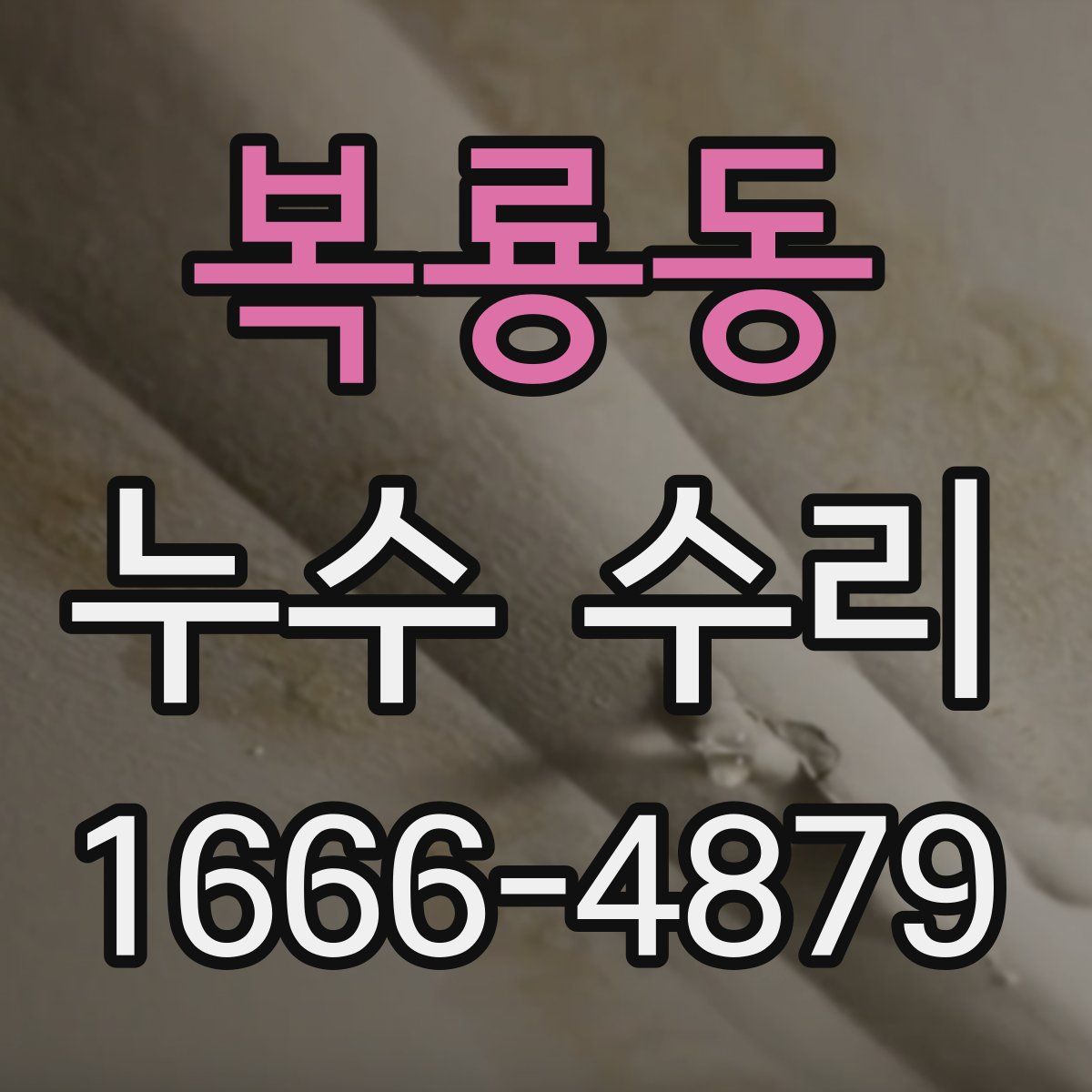 복룡동 누수 수리