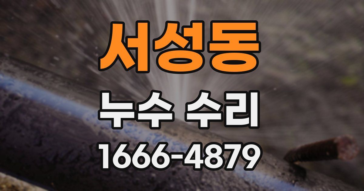 서성동 누수 수리
