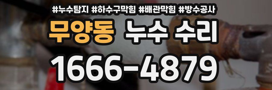 무양동 누수 수리