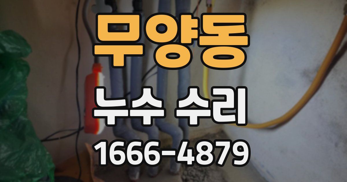 무양동 누수 수리