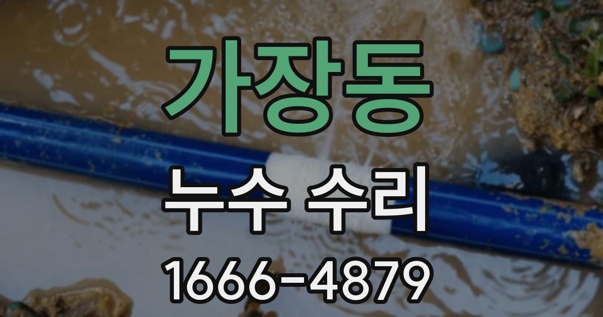 가장동 누수 수리