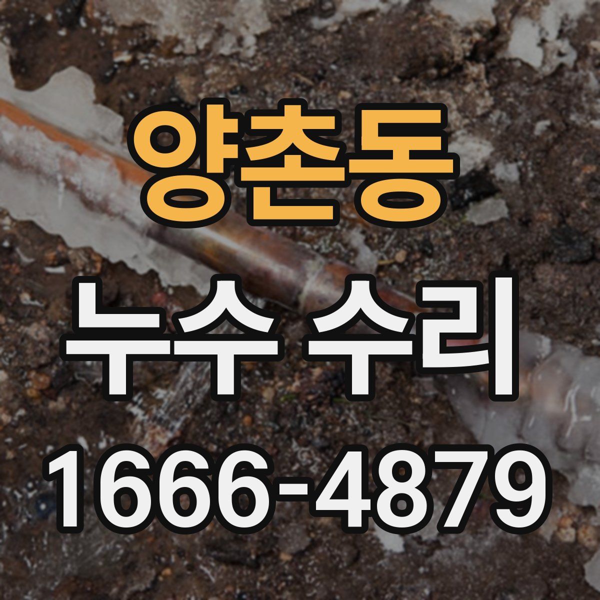 양촌동 누수 수리