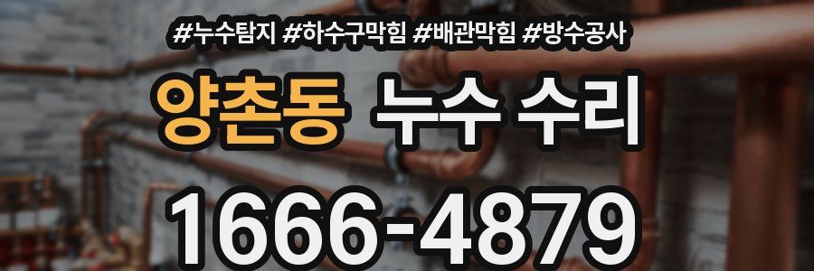 양촌동 누수 수리