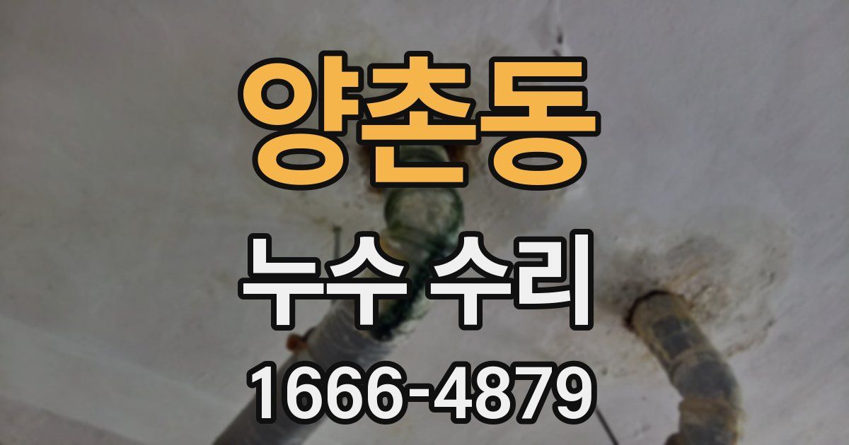 양촌동 누수 수리