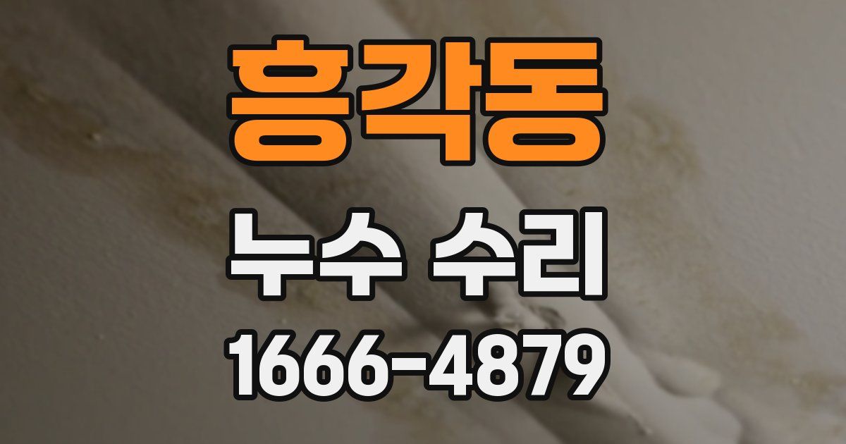 흥각동 누수 수리