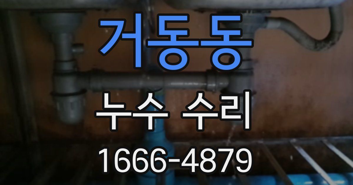 거동동 누수 수리