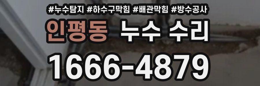 인평동 누수 수리