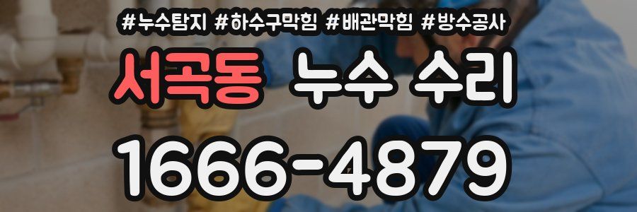 서곡동 누수 수리