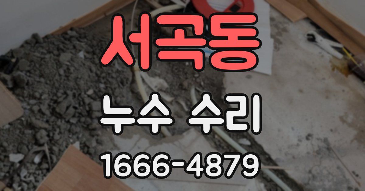 서곡동 누수 수리
