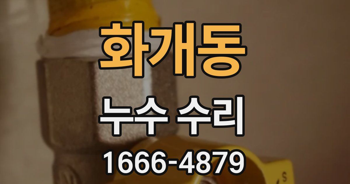 화개동 누수 수리