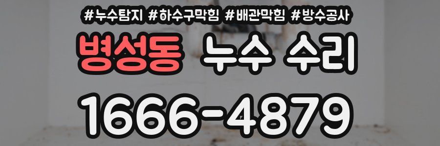 병성동 누수 수리