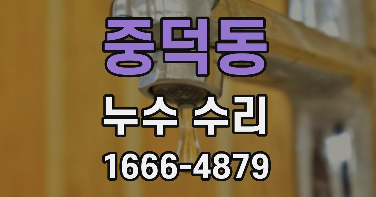 중덕동 누수 수리