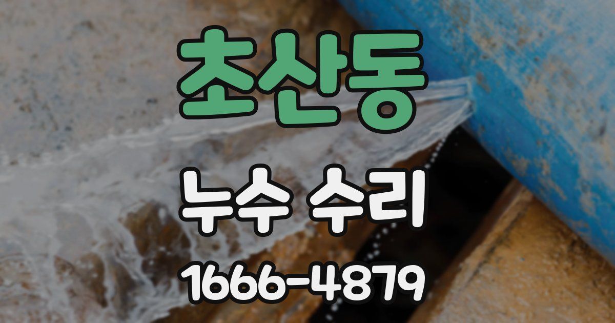 초산동 누수 수리