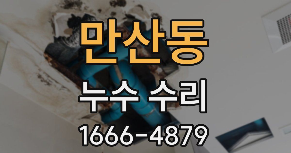만산동 누수 수리