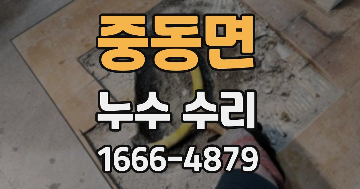 중동면 누수 수리