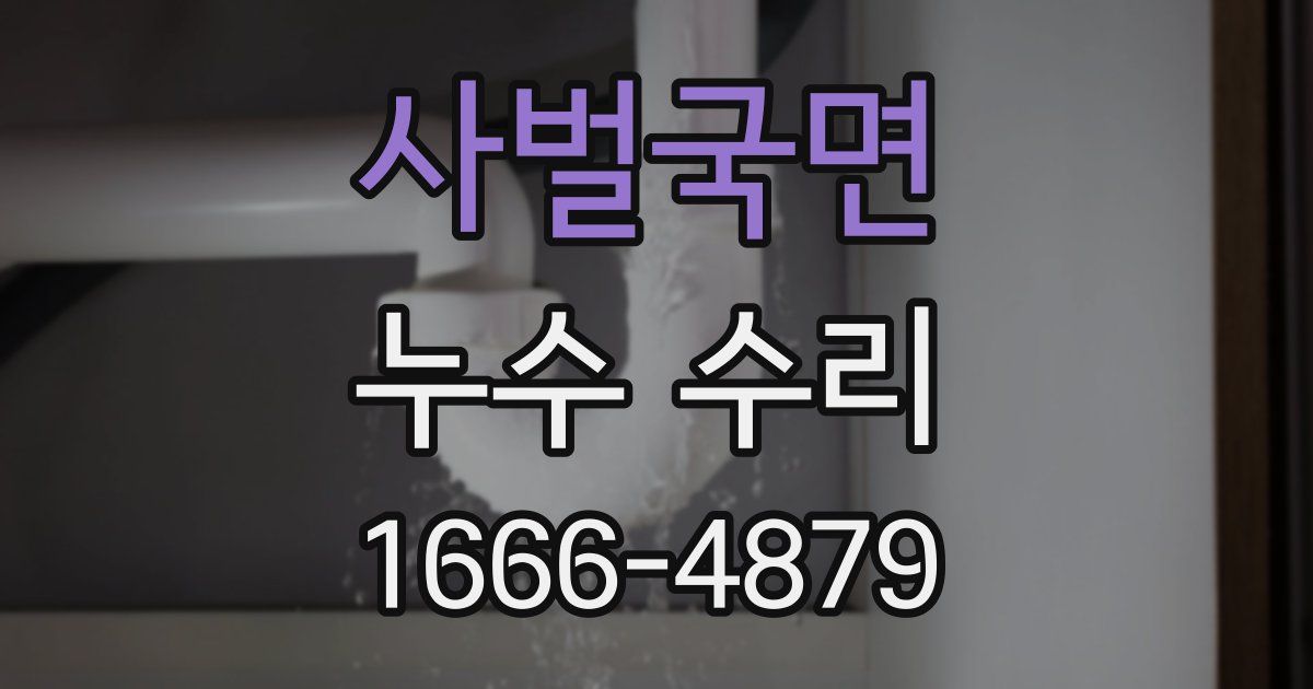사벌국면 누수 수리