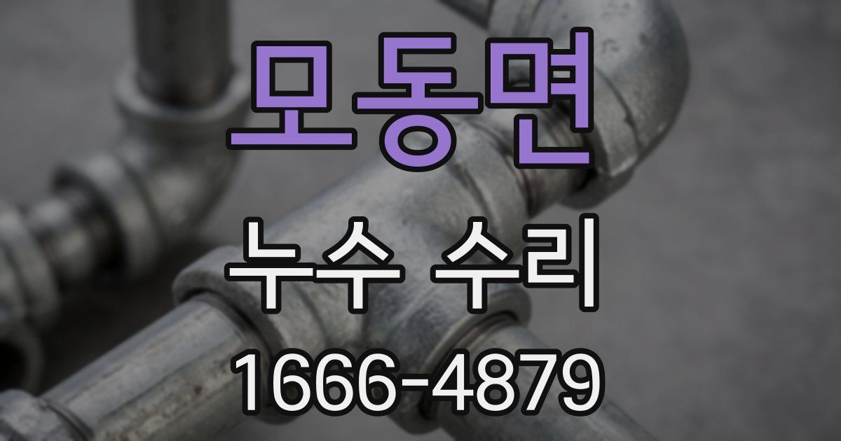 모동면 누수 수리