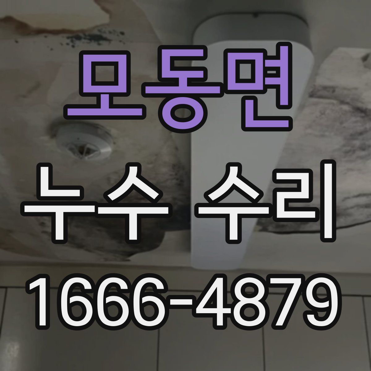 모동면 누수 수리