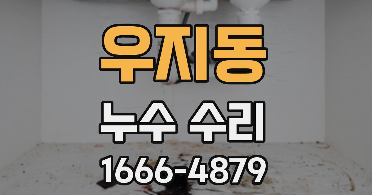 우지동 누수 수리