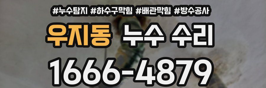 우지동 누수 수리