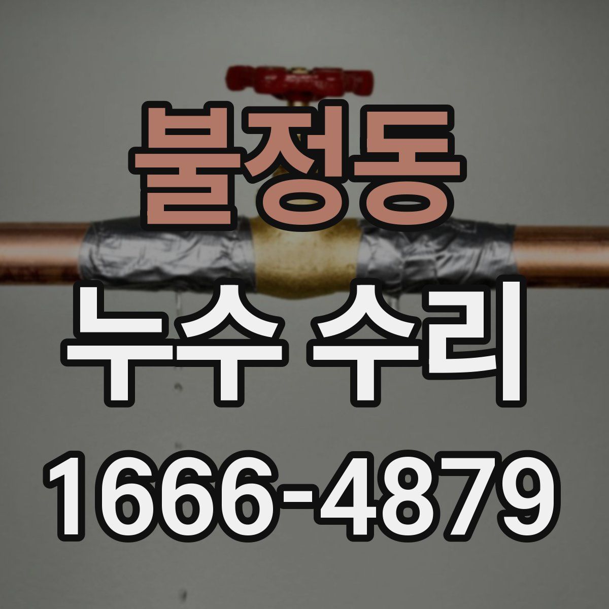 불정동 누수 수리