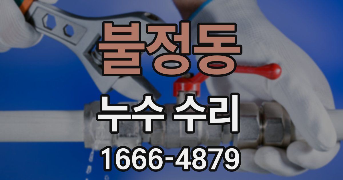 불정동 누수 수리