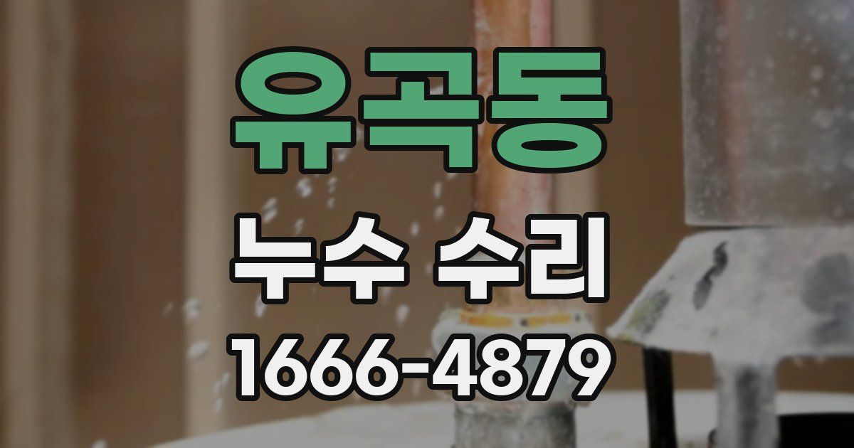 유곡동 누수 수리