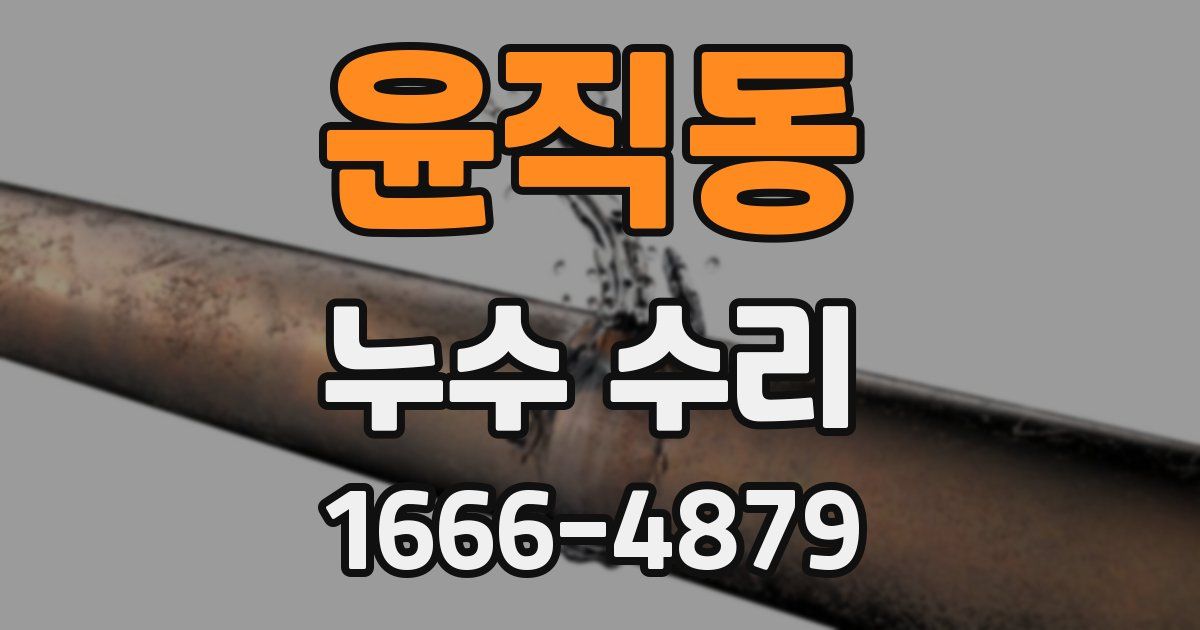 윤직동 누수 수리