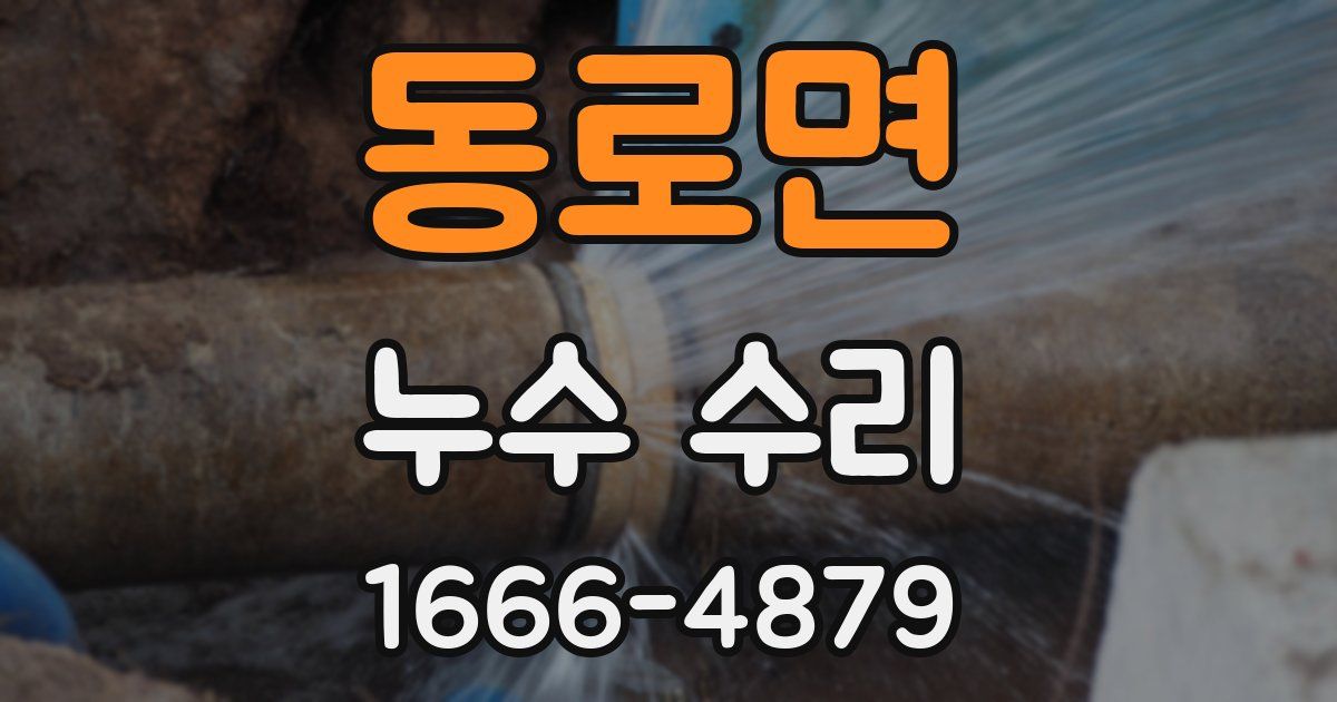 동로면 누수 수리
